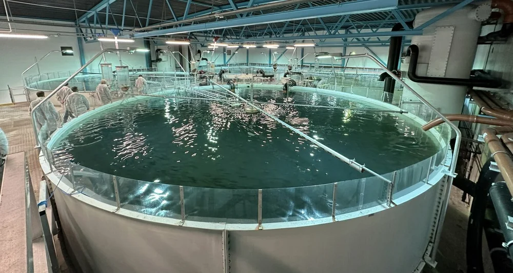 Hofseth Aqua Tafjord settefiskanlegg foto Marius 22