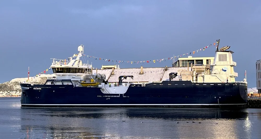 Ronja Mistral skansekaia Foto sverre lorgen øvrelid