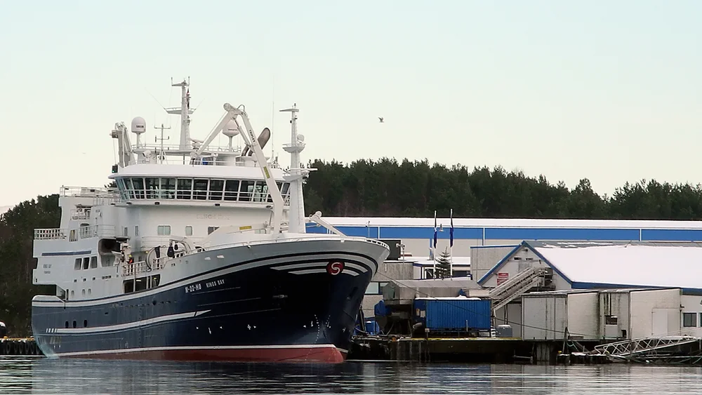 Kings bay pelagia hjørungavåg 33