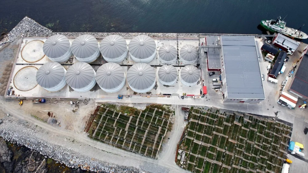 Brimer Lofoten Biomarine Verøy Foto Brimer 11