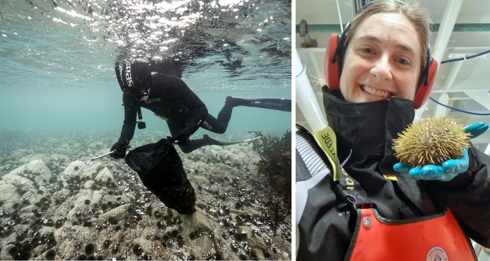 Ava Ocean montasje kråkeboller Dagny Elise Anastassiou foto Clément BRUN Wild Lab Projects Ava Ocean