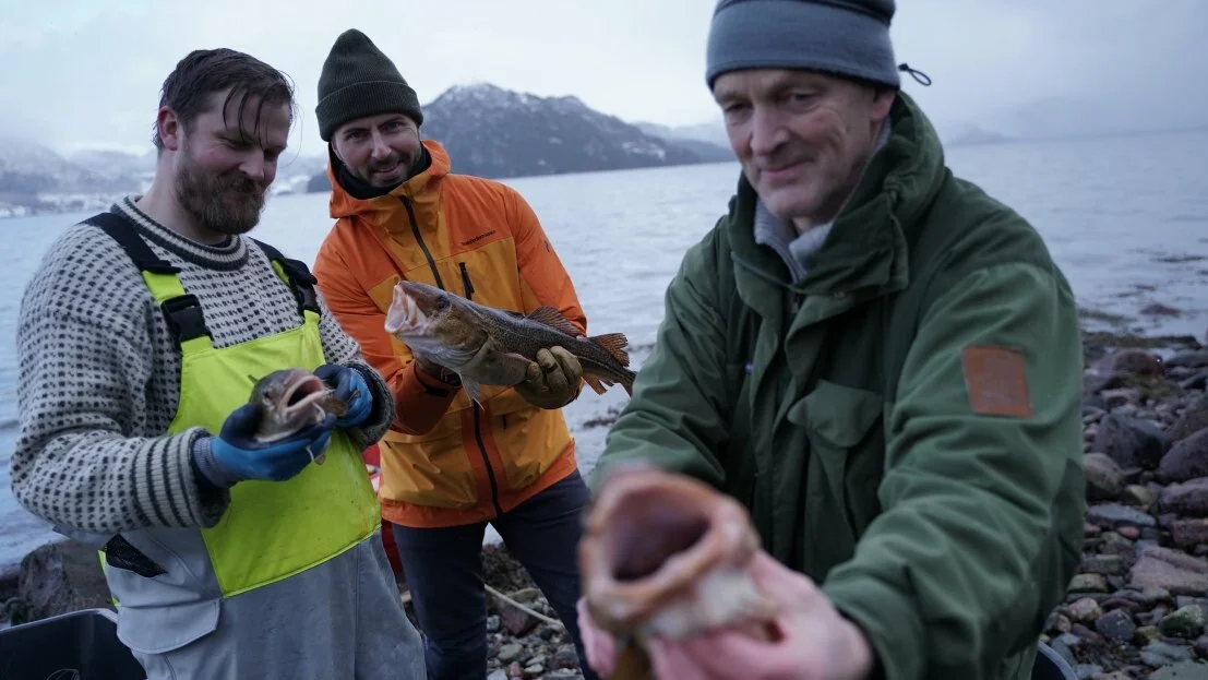 Purecod Severin Rønes Teodor Strand Johansen Odd Arne Rønes foto purecod