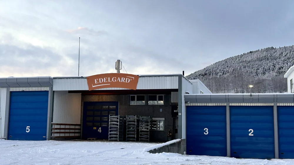 Edelgard eksteriør foto Marius