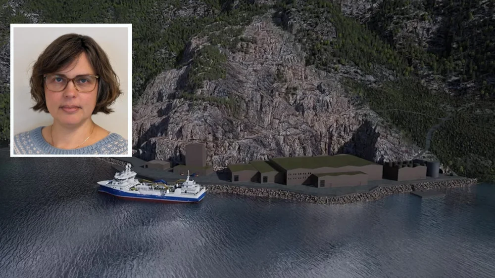 Raudbergvika innfelt terese jemtegård moen illustrasjon moldskred 11