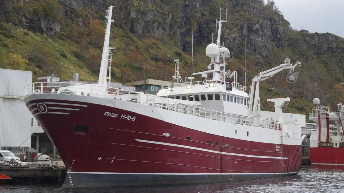 Stålegg Hunter foto kjetil