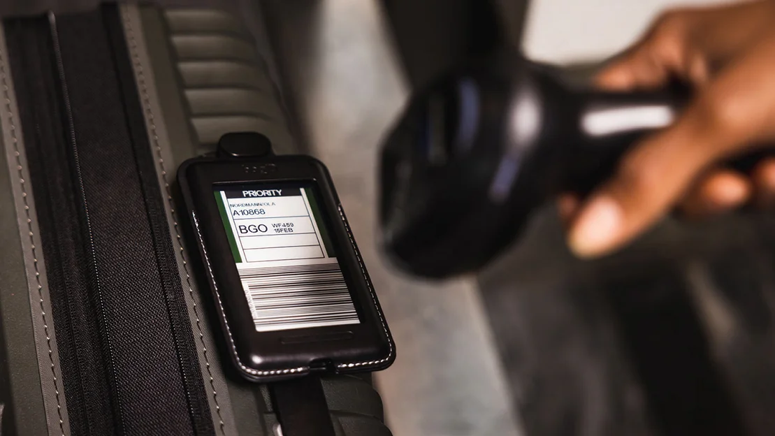 Bagid nærbilde foto bagid 11