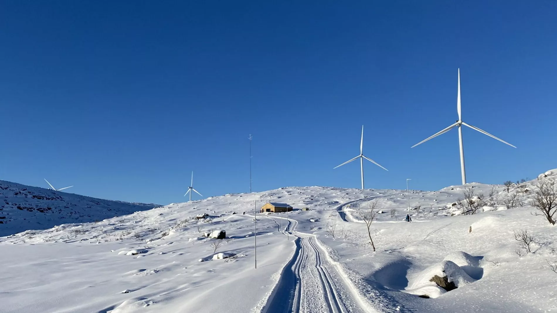 Guleslettene vinter foto zephyr