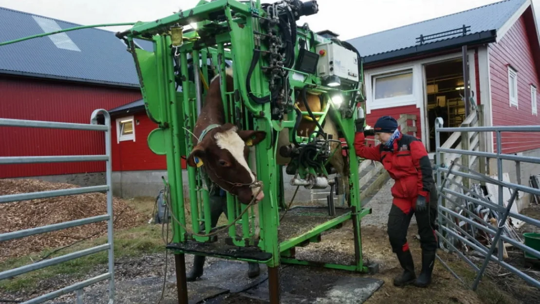 Sofie Hoybakk foto ogne