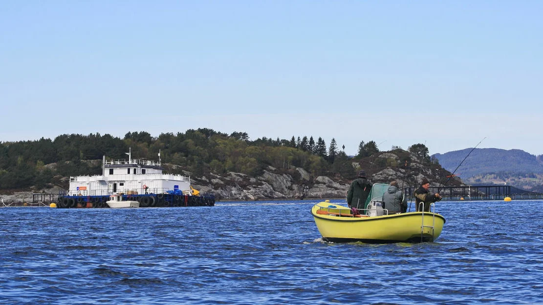 2048px Angeln in Norwegen und Fischfarm IMG 0612 WI 1