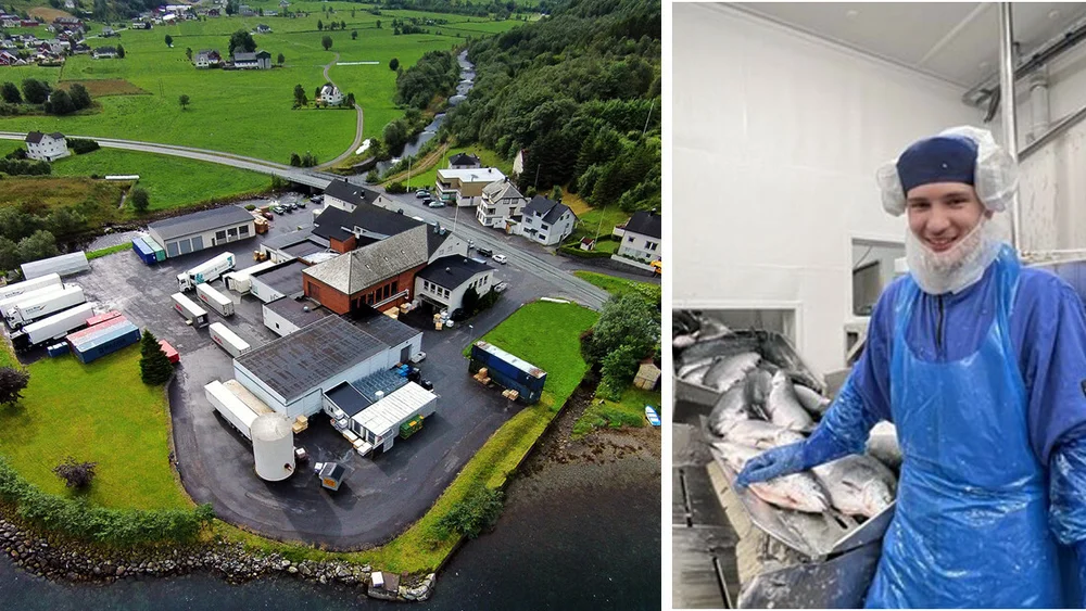 Hofseth Vanylven montasje Marko Mazghal foto hofseth