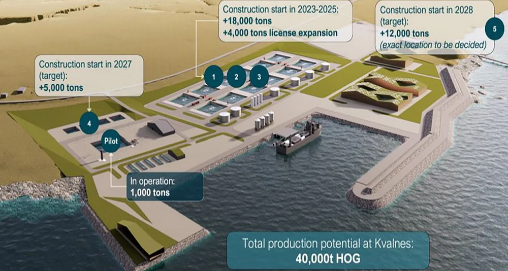 Andfjord Salmon illustrasjon Andfjord Salmon