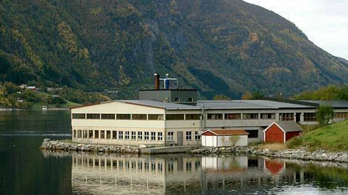 Brodrene dale 2 foto Brodrene Dale