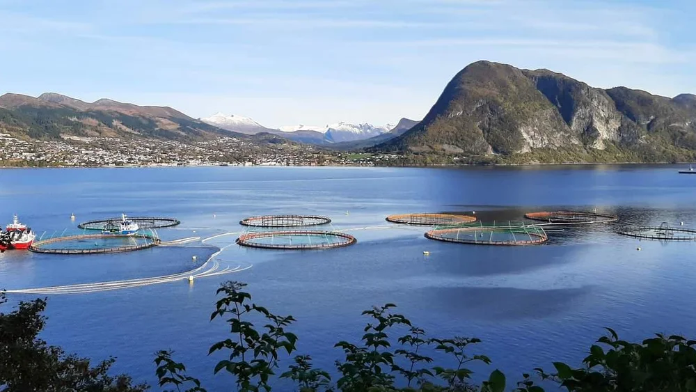 Paalegg om utvida gjenfangst av roemt oppdrettslaks