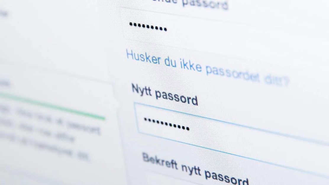 Faerre enn foer bruker ulike passord