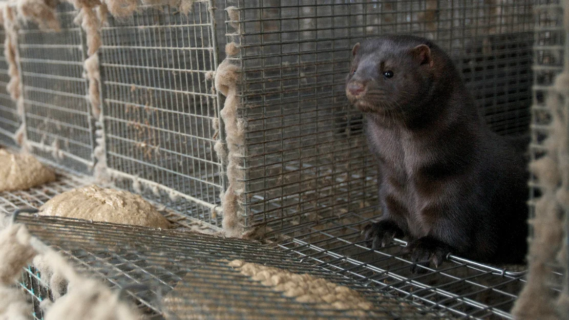Vil ha nytt forslag til erstatning