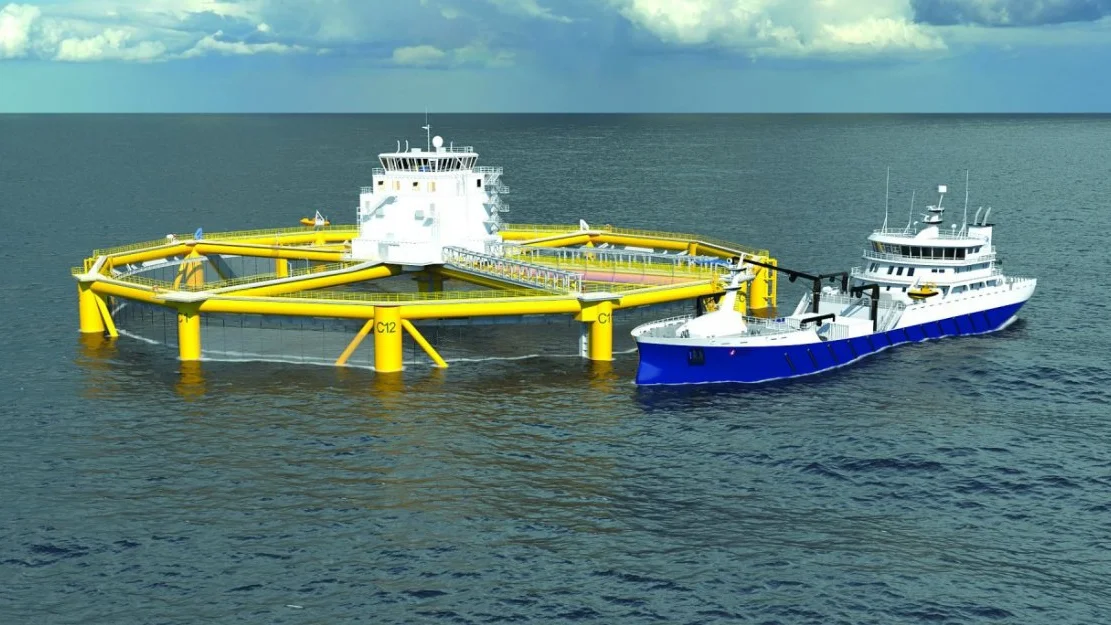 Meiner 11 omraade boer utgreiast for havbruk