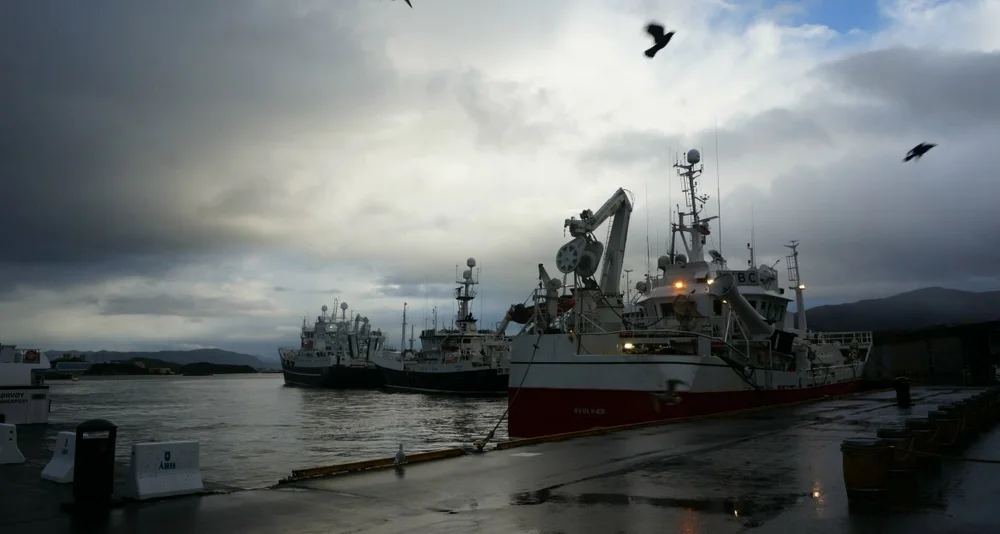 Fiskebatar i Alesund foto Ogne