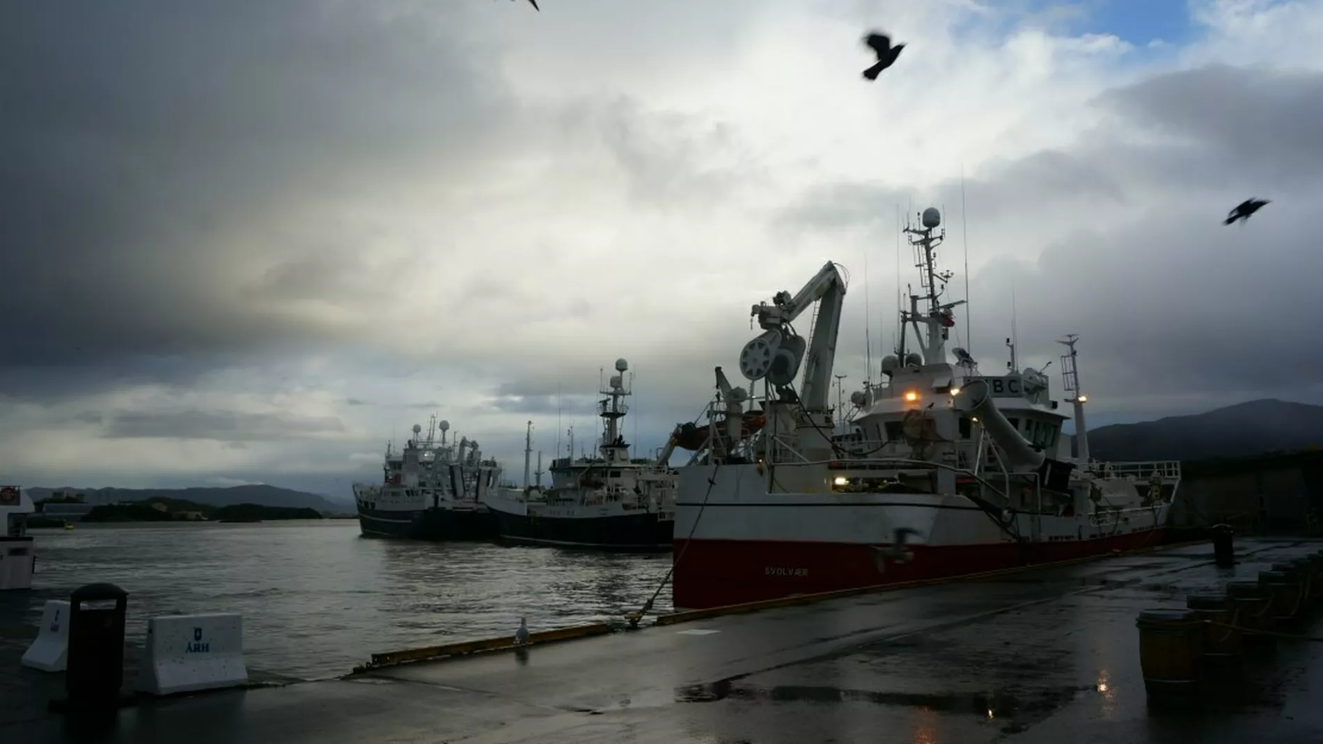 Fiskebatar i Alesund foto Ogne