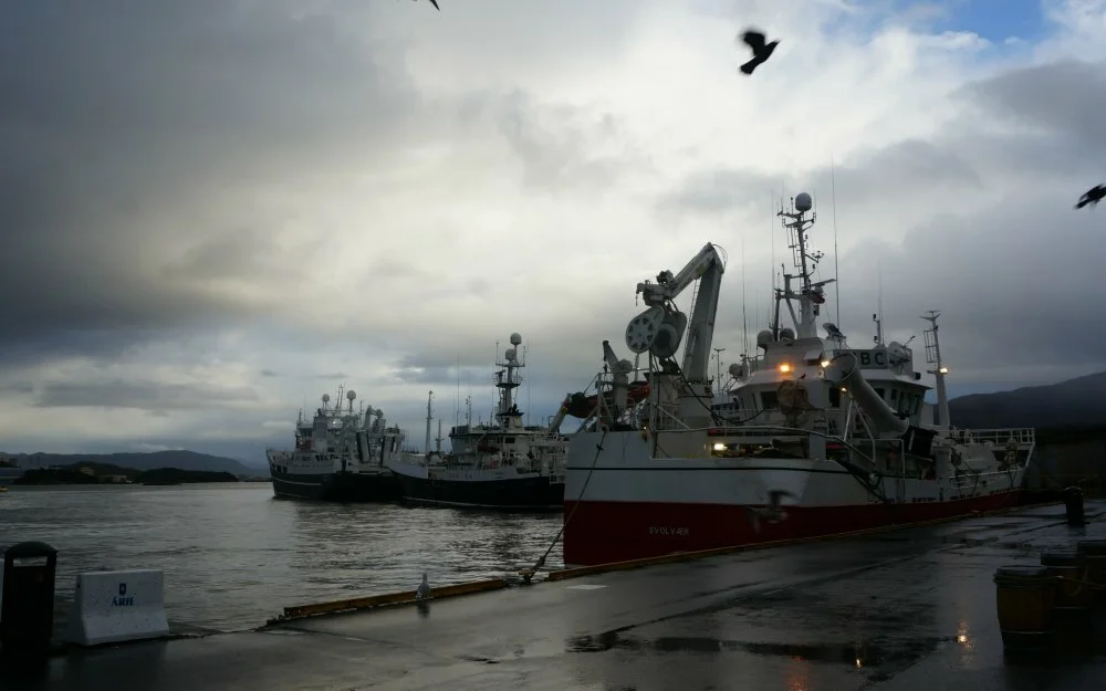 Fiskebatar i Alesund foto Ogne