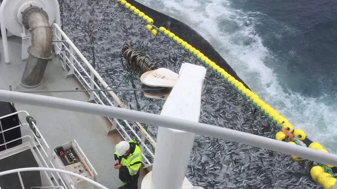 Faerre fiskarar fleire kvinner