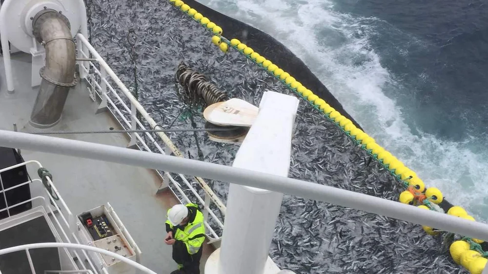 Faerre fiskarar fleire kvinner