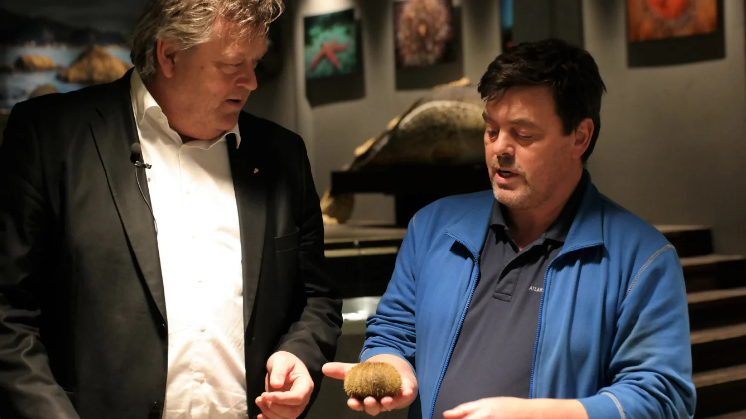 Stor tro paa kamskjell flekksteinbit og piggvar