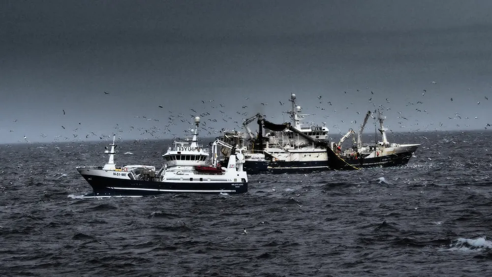 Fra makrellfiske foto Roar Bjanesoy Sildelaget