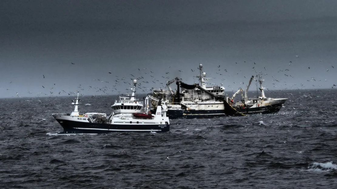 Fra makrellfiske foto Roar Bjanesoy Sildelaget