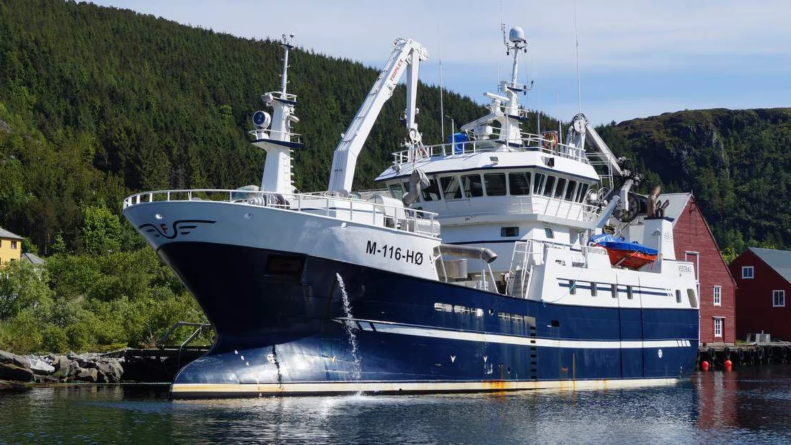 Sild over eit stort omraade