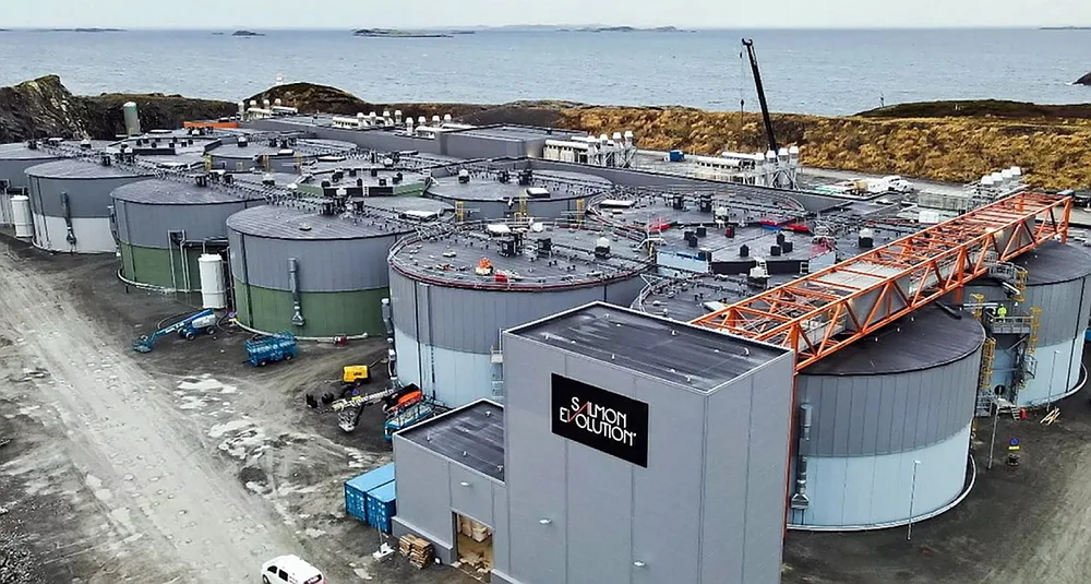 Salmon evolution forste byggetrin indre haroy foto salmon evolution 11