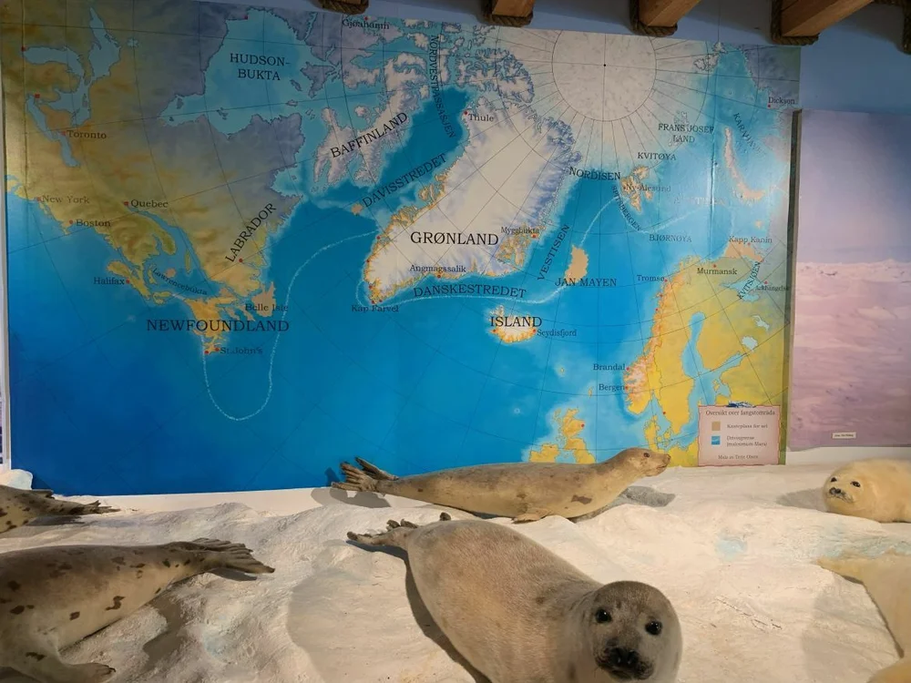 Aarvak IKKE GJENBRUK