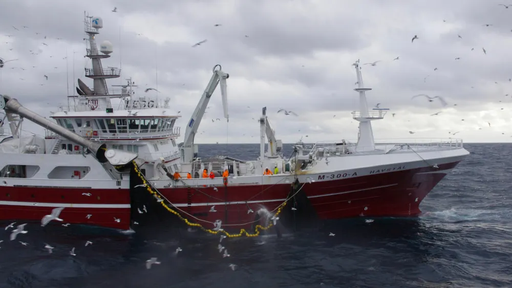 Havstal med loddekast i Barentshavet 2018 NSS 02134 Foto Olav Endre Dronen