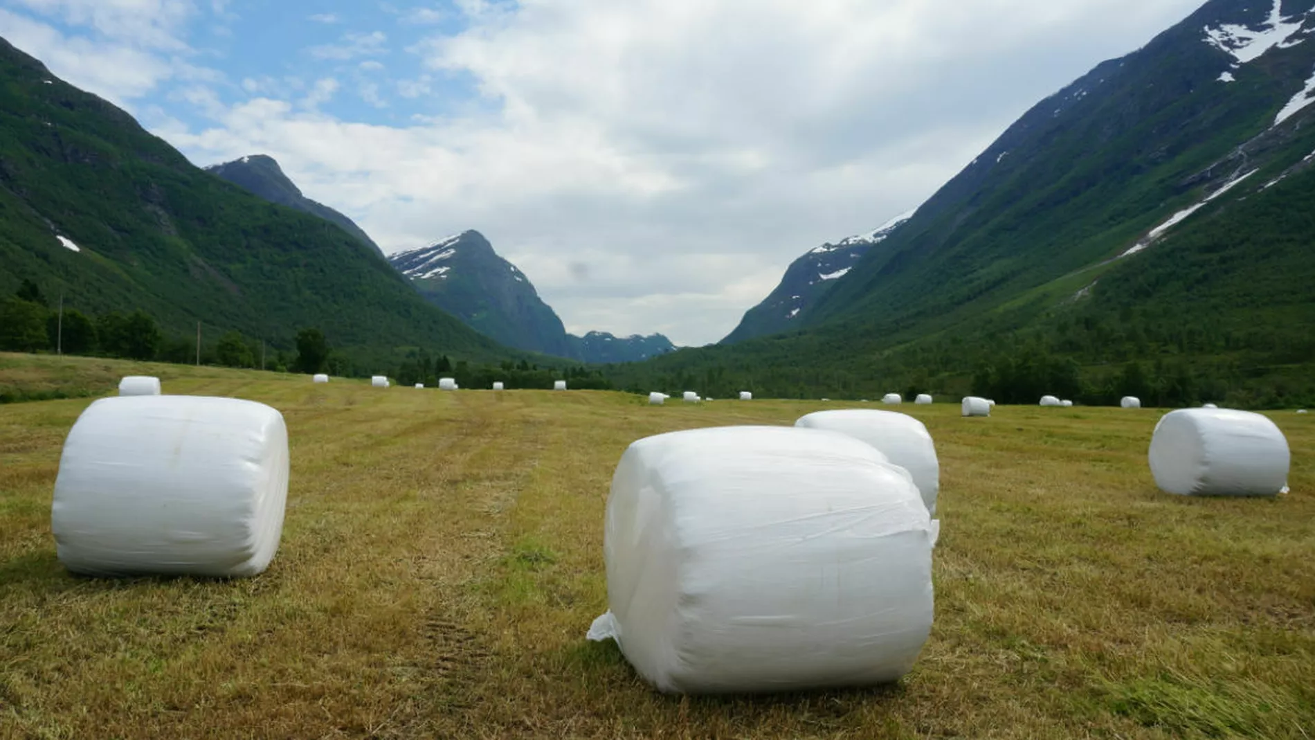 Traktoregg i strandadalen foto Ogne