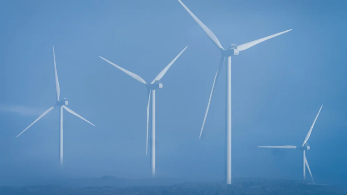 NTB d H9p Vs16n Bc 1