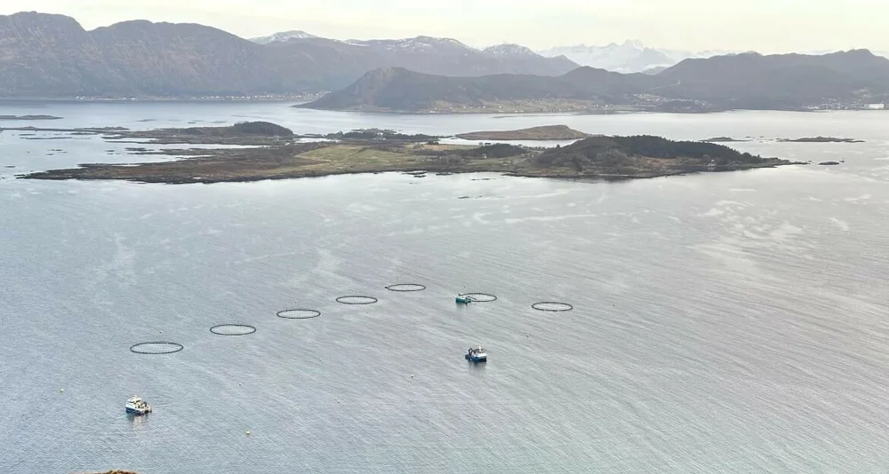 Ode oppdrett torskeoppdrett Dysjaneset foto Ode