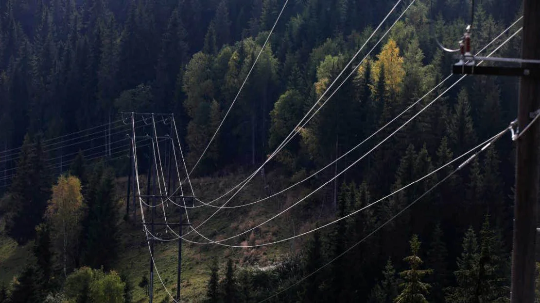 Laagaste straumpris paa 20 aar