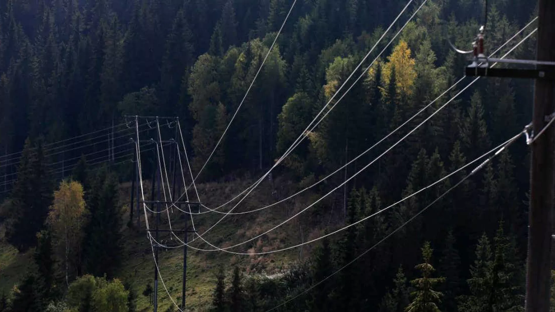 Laagaste straumpris paa 20 aar