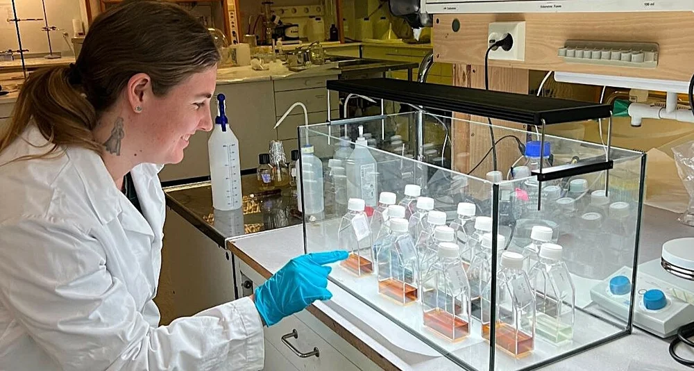 Arctic Algae Melissa Elliman foto Arctic Algae