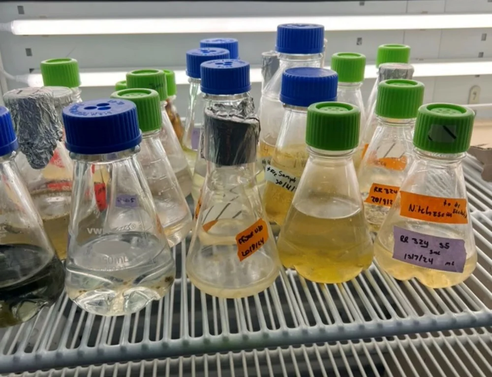 Arctic algae algebibliotek 1