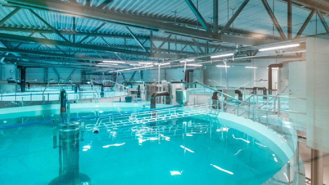 Artec Aqua illistrasjonm foto Endur