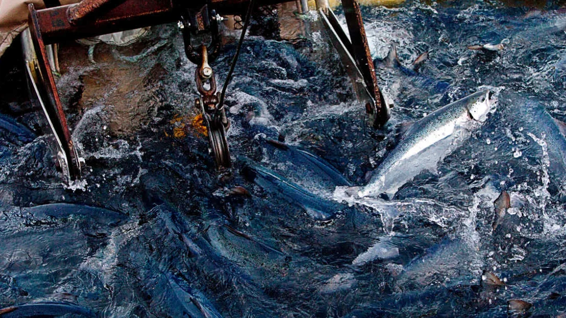 NTB Yt0 F0 Yr SQ Xk 1