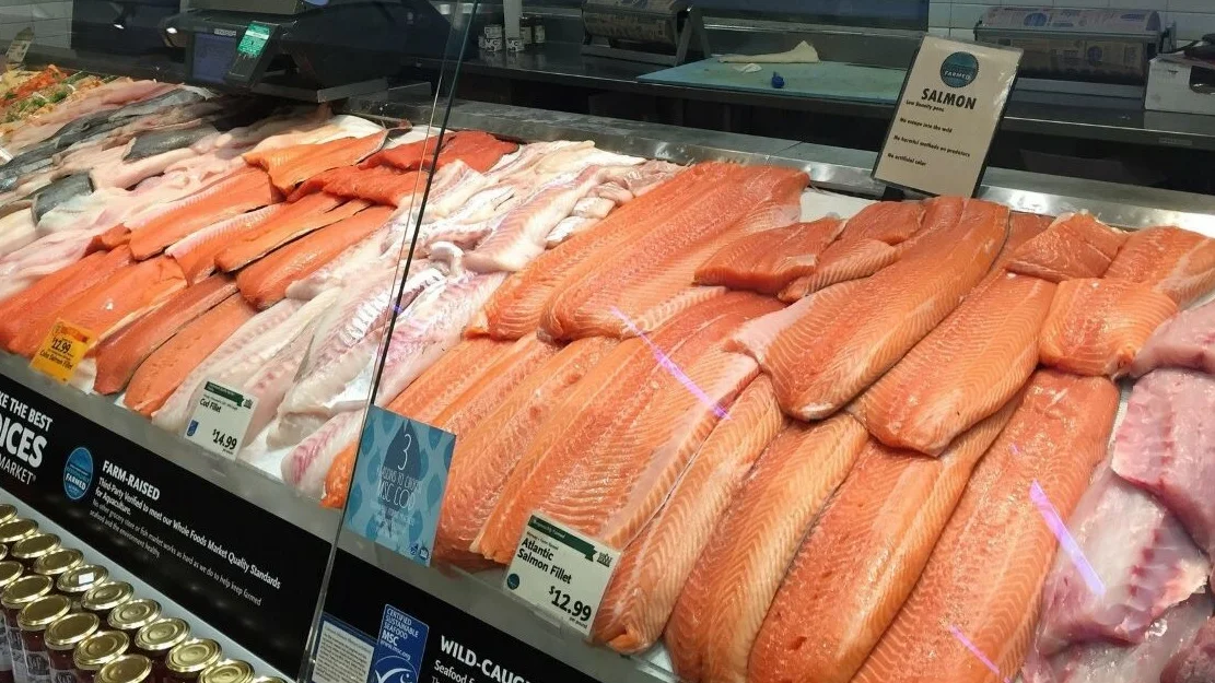 Fiskedisk usa foto norges sjomatrad