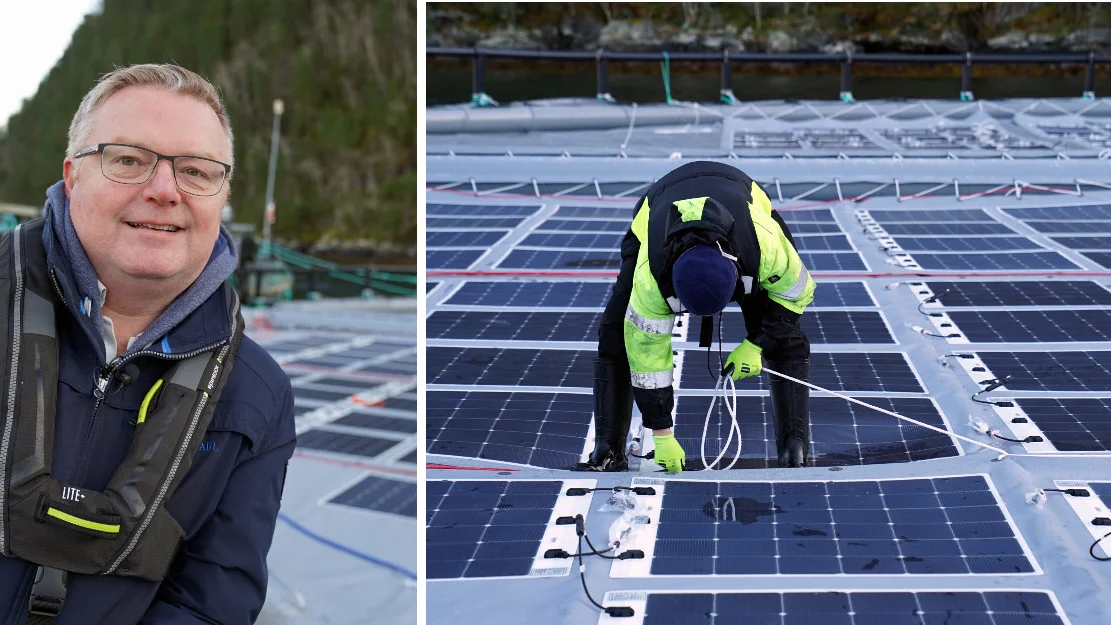 Testar solceller paa Hofseth anlegg