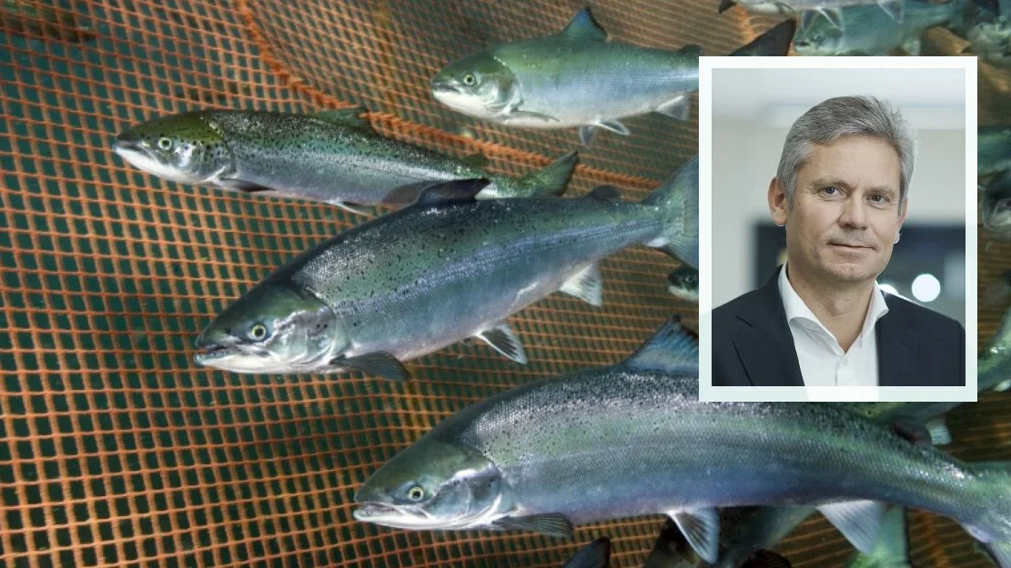 Laks merd innfelt eirk moe foto rudolf svendsen