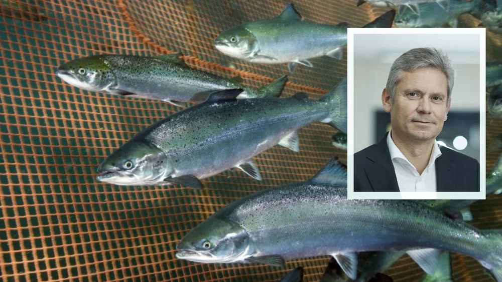 Laks merd innfelt eirk moe foto rudolf svendsen