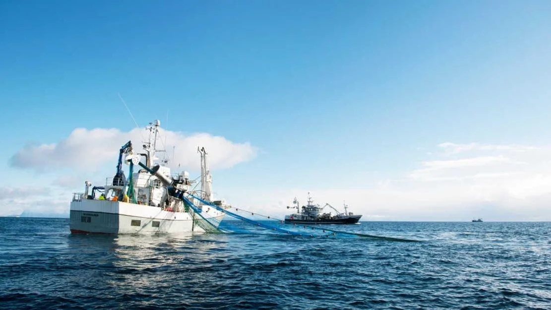 Nesten eksportrekord trass korona