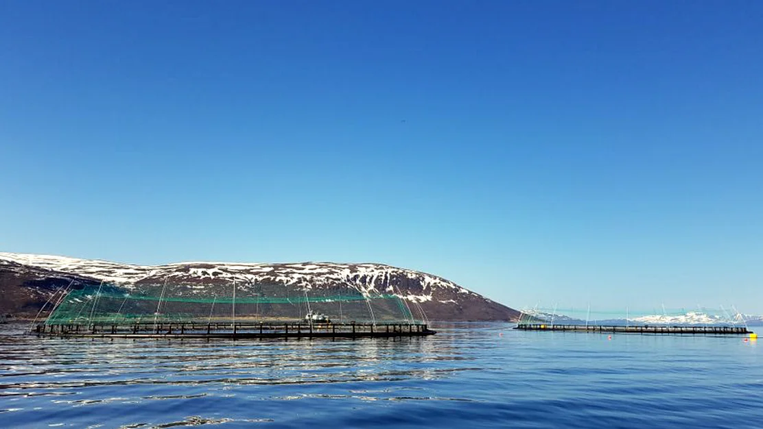 En av verdens mest energieffektive baater i sin klasse
