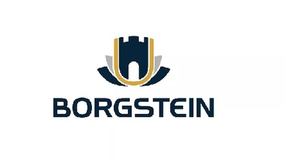 Borgsteinlogo ny fb