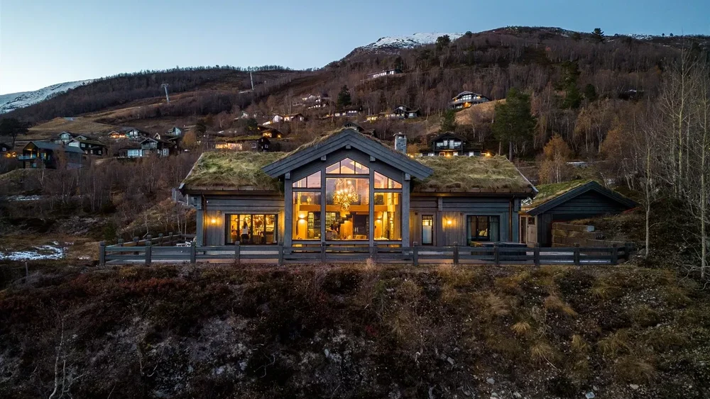 396 ed540f50 3133 41fb 95ca f6c324ec79b9