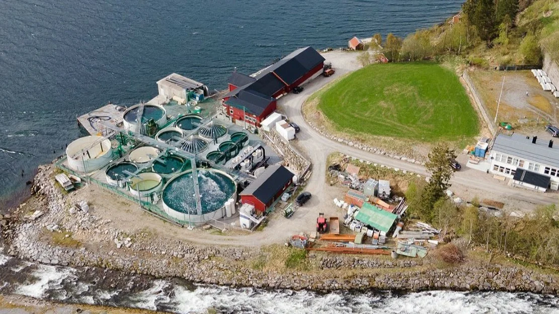 Salmon Evolution Dalfjorden foto Salmon Evolution